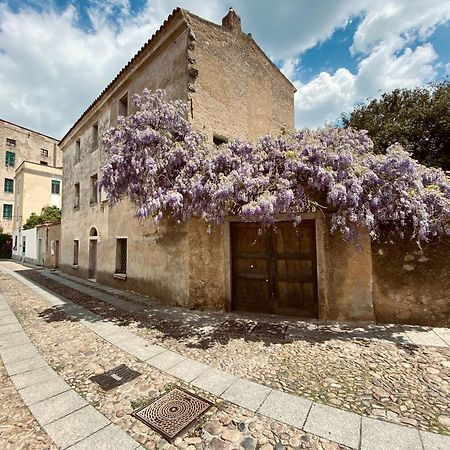 Carrales Guest House 努奥罗 外观 照片