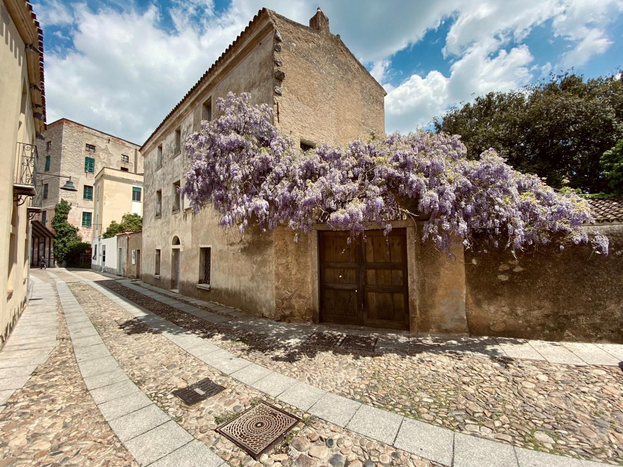Carrales Guest House 努奥罗 外观 照片